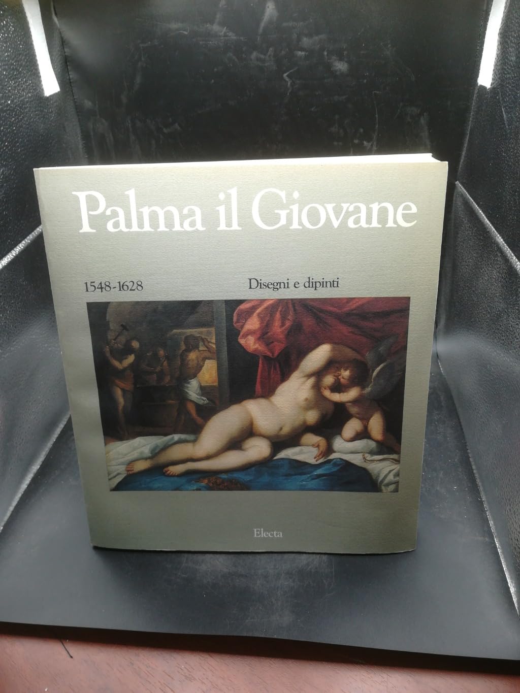 Palma Il Giovane 1548-1628: Disegni e Dipinti book