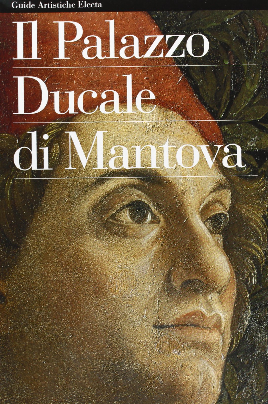 Il Palazzo Ducale Di Mantova book