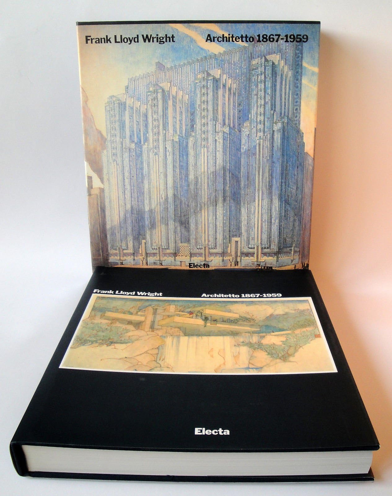 Frank Lloyd Wright architetto (1867-1959). Ediz. illustrata (Architetti moderni) Film, Art & Culture
