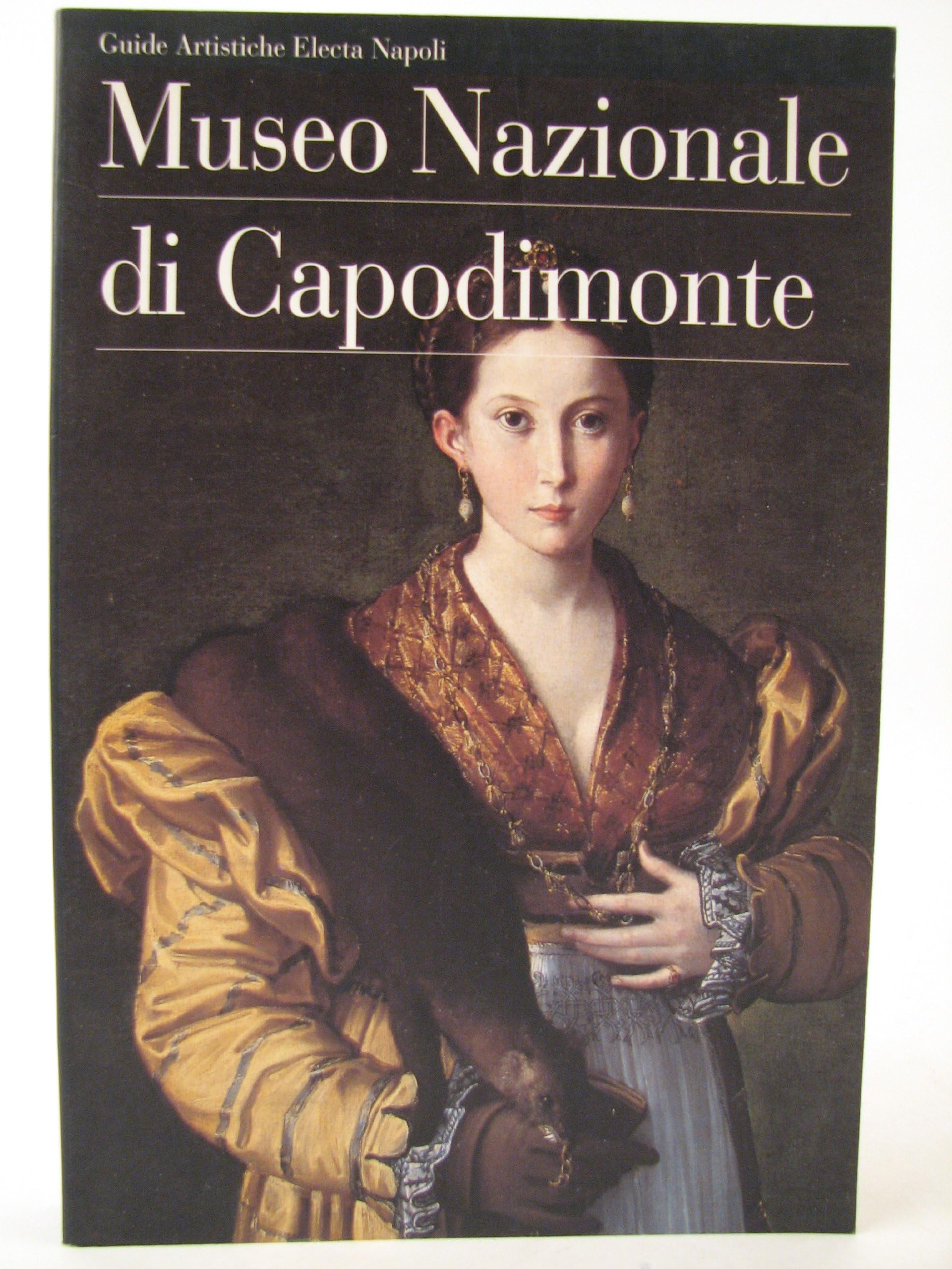Museo Nazionale DI Capodimonte (Electa Napoli. Guide artistiche) Film, Art & Culture