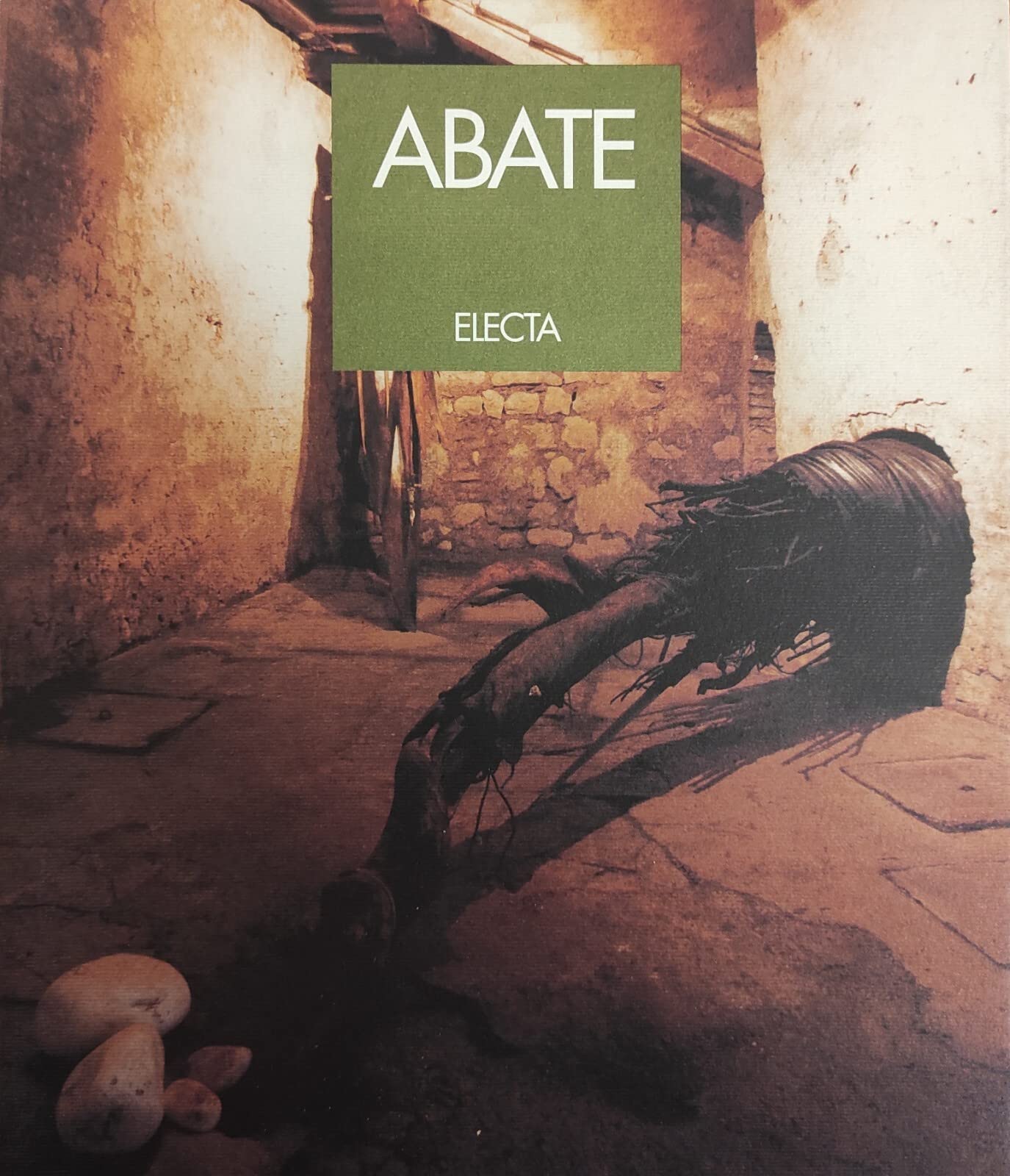 Romano Abate. Catalogo della mostra (Conegliano, 1995). Ediz. illustrata (Cataloghi di mostre) Second-hand books on film, art and culture