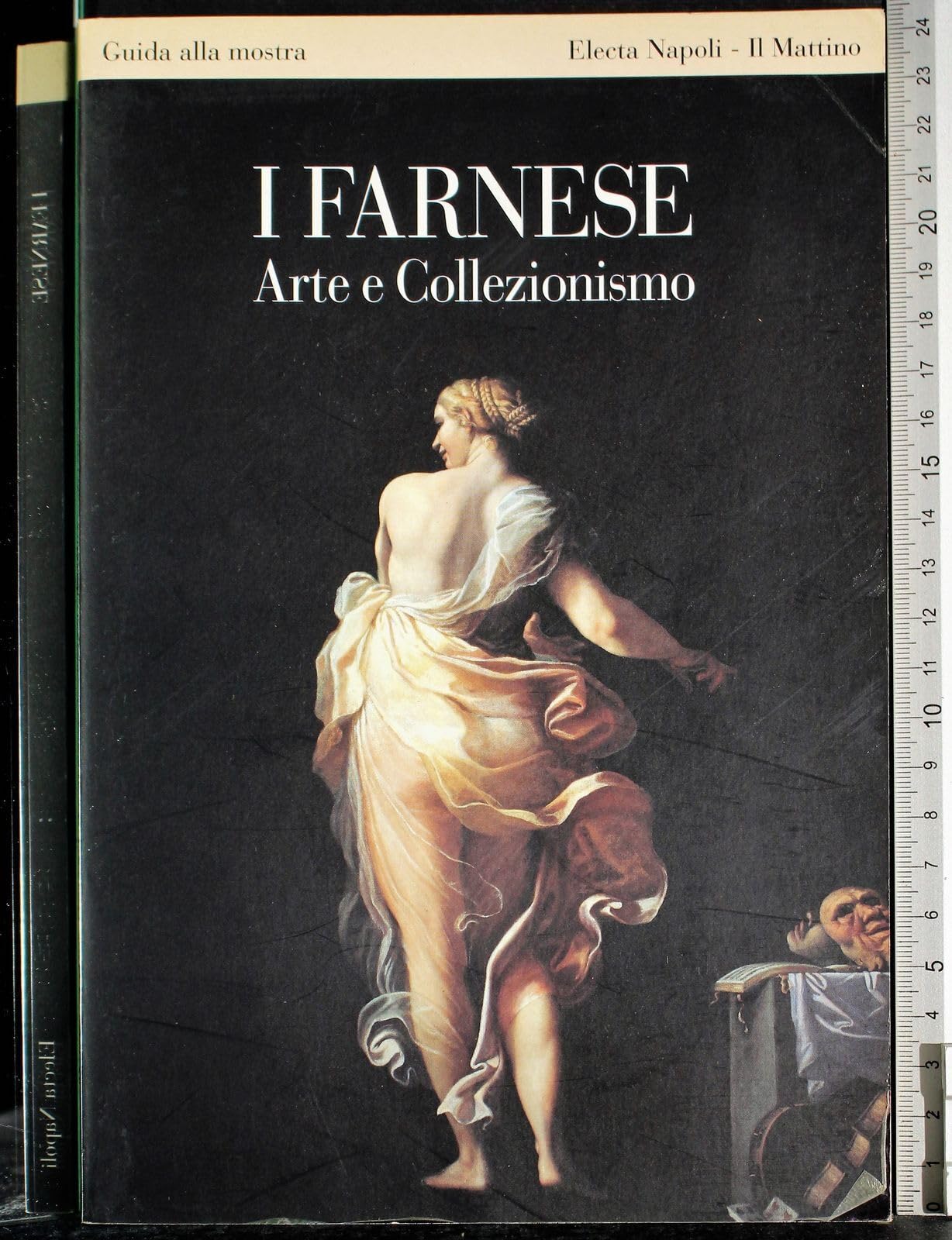 I Farnese. Arte e collezionismo. Guida alla mostra book