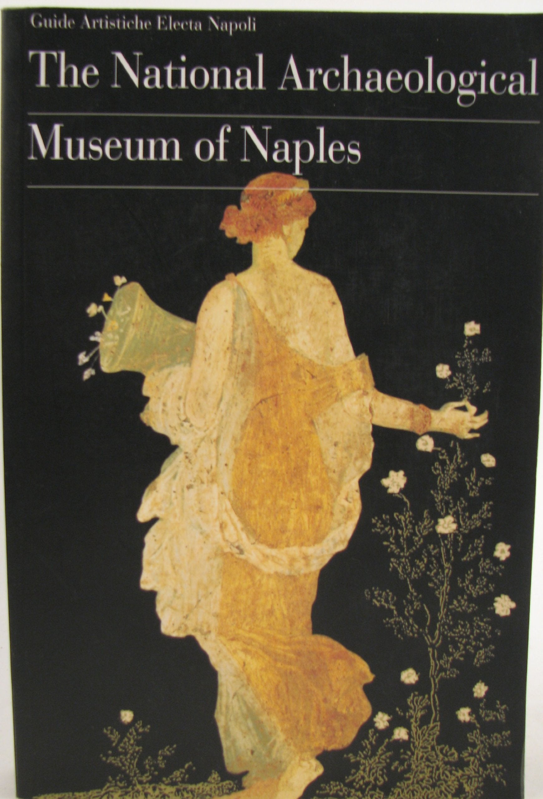 Il museo archeologico nazionale di Napoli. Ediz. inglese (Electa Napoli. Guide artistiche) Books