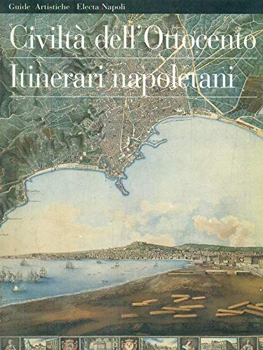 Civiltà dell'Ottocento. Itinerari napoletani. Ediz. illustrata book