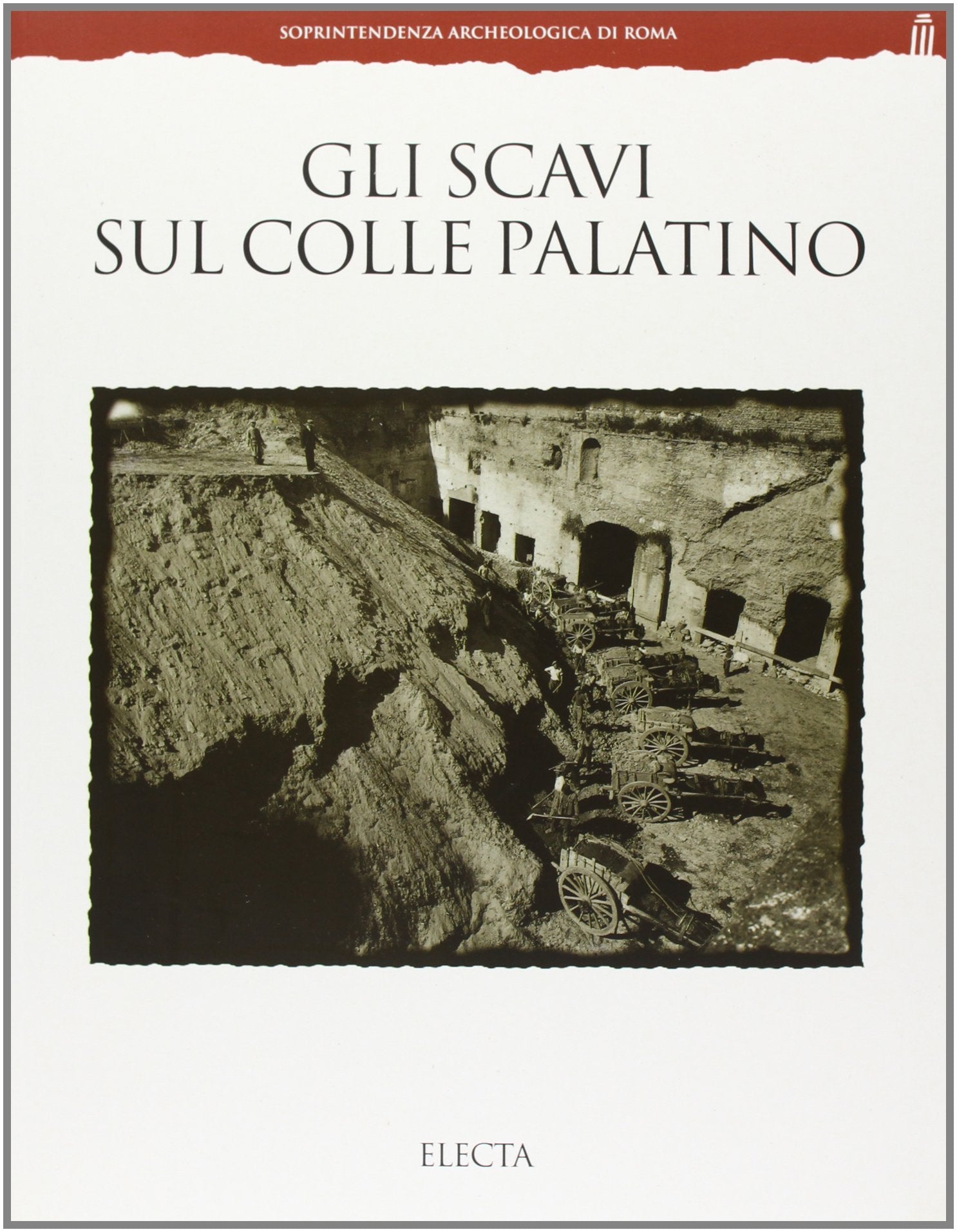 Gli scavi sul colle Palatino. Testimonianze e documenti. Ediz. illustrata (Soprintendenza archeologica di Roma) Natural Sciences