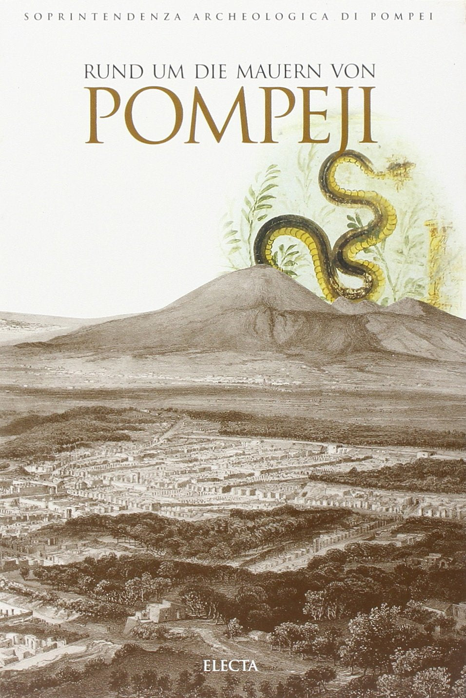 Lungo le mura di Pompei. L'antica città nel suo ambiente naturale. Ediz. tedesca (Soprint. archeologica di Pompei) Leisure, Home & Garden