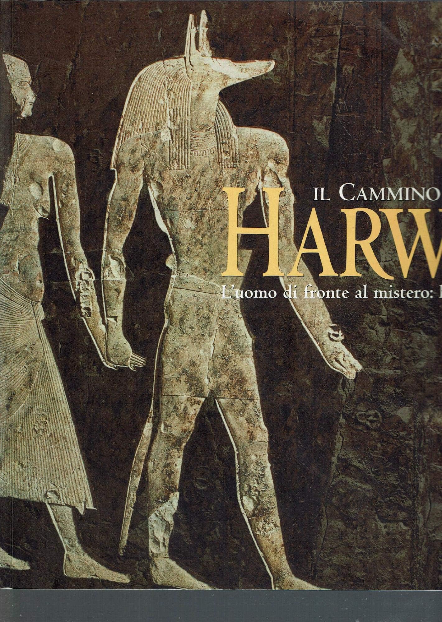 Il cammino di Harwa. L'uomo di fronte al mistero: l'Egitto. Catalogo della mostra (Brescia, Museo diocesano, 9 ottobre 1999-9 gennaio 2000). Ediz. illustrata (Cataloghi di mostre) Books