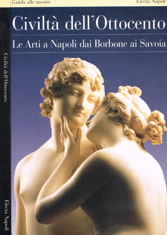 Civiltà dell'Ottocento. Le arti a Napoli dai Borbone ai Savoia. Guida alle mostre. Ediz. illustrata (Electa Napoli. Civiltà dell'Ottocento) Politics & History