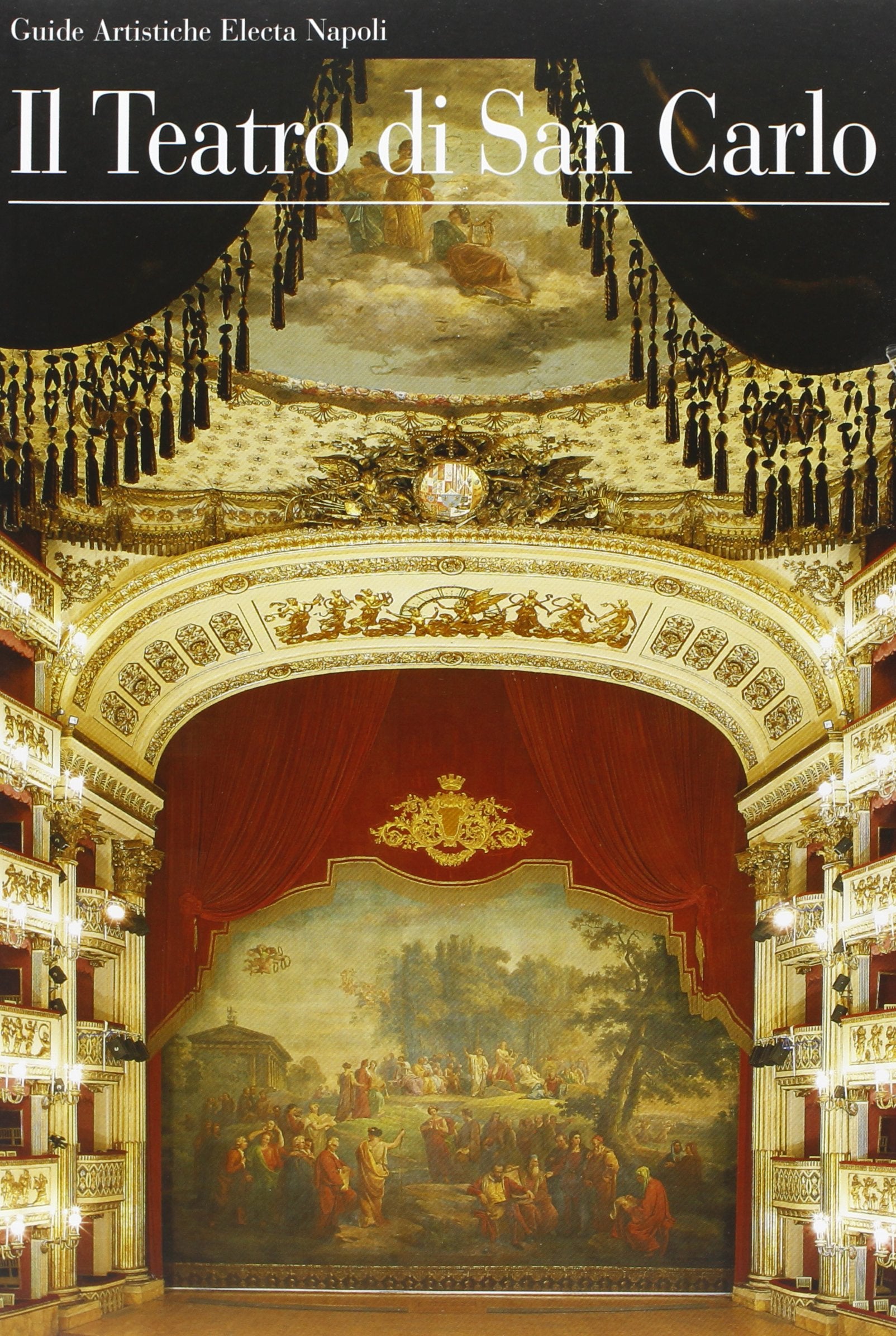 Il teatro San Carlo. Ediz. illustrata (Electa Napoli. Guide artistiche) Leisure, Home & Garden