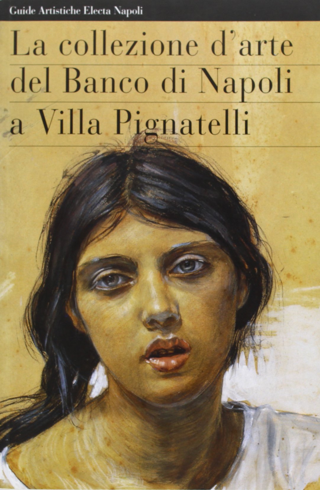 La collezione d'arte del Banco di Napoli a villa Pignatelli book