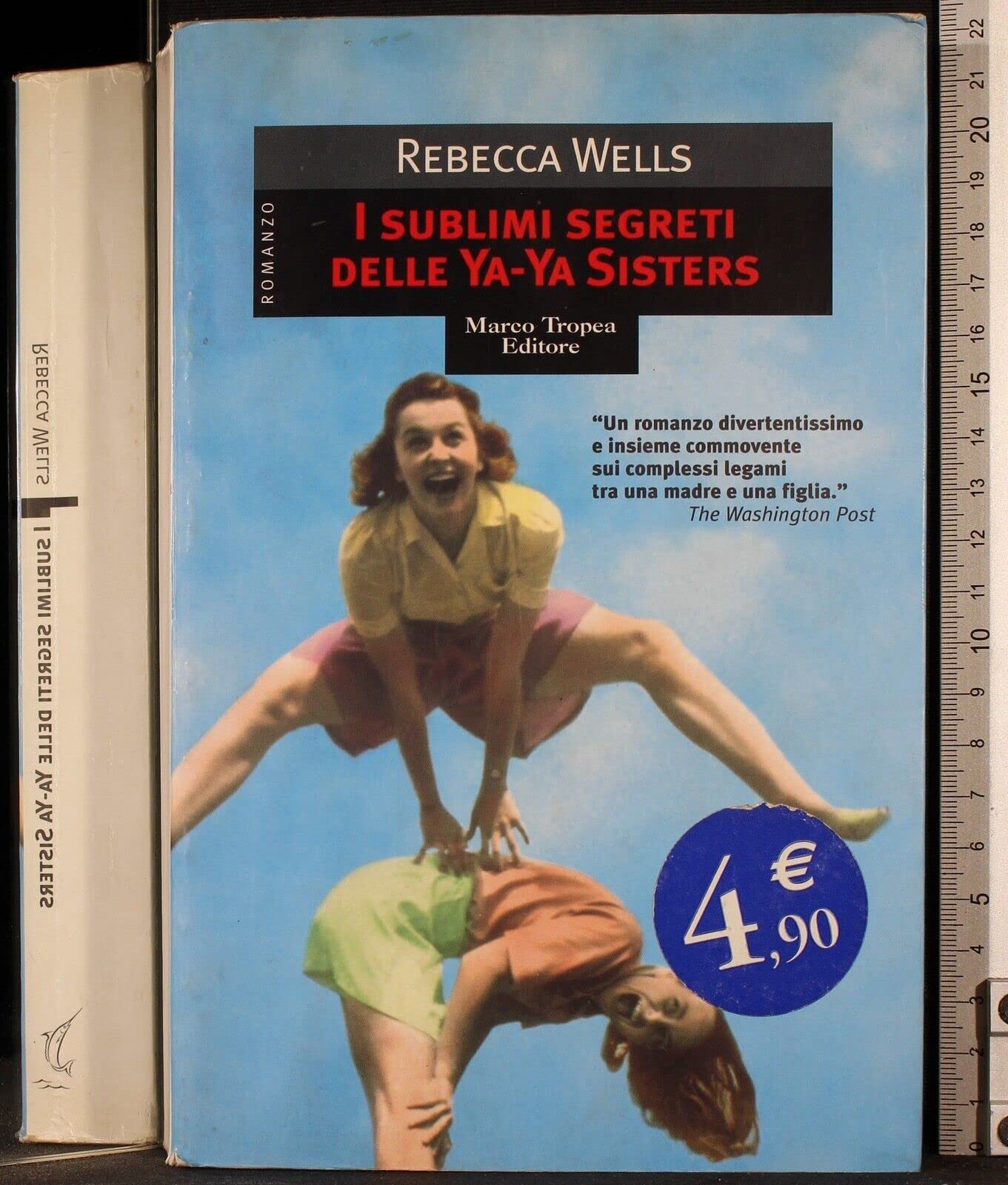 I sublimi segreti delle Ya-Ya Sisters book