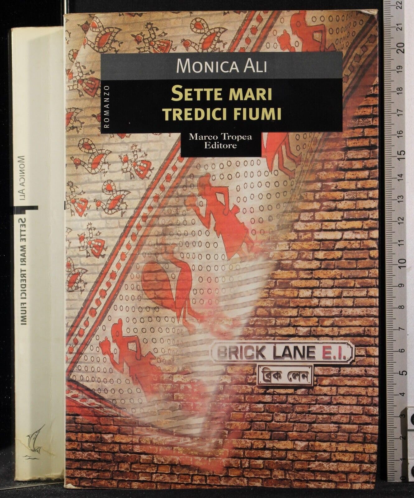 Sette mari tredici fiumi (Le gaggie) Contemporary literature