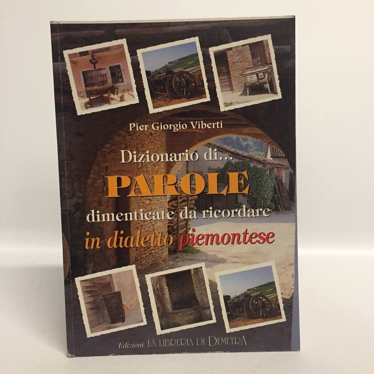 Dizionario di... parole da ricordare in dialetto piemontese book