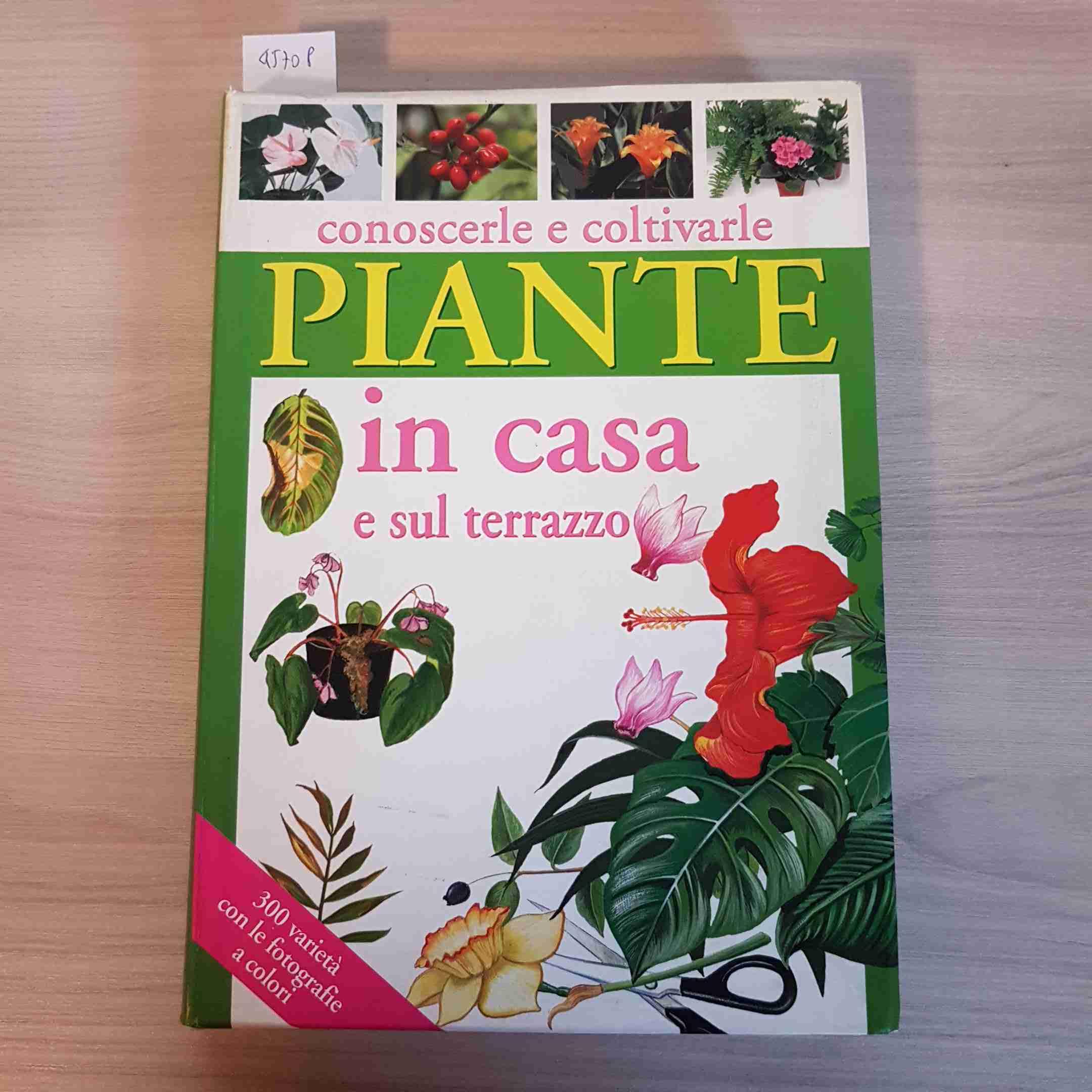 Piante in casa e sul terrazzo (Piccole perle) Garden & Plants