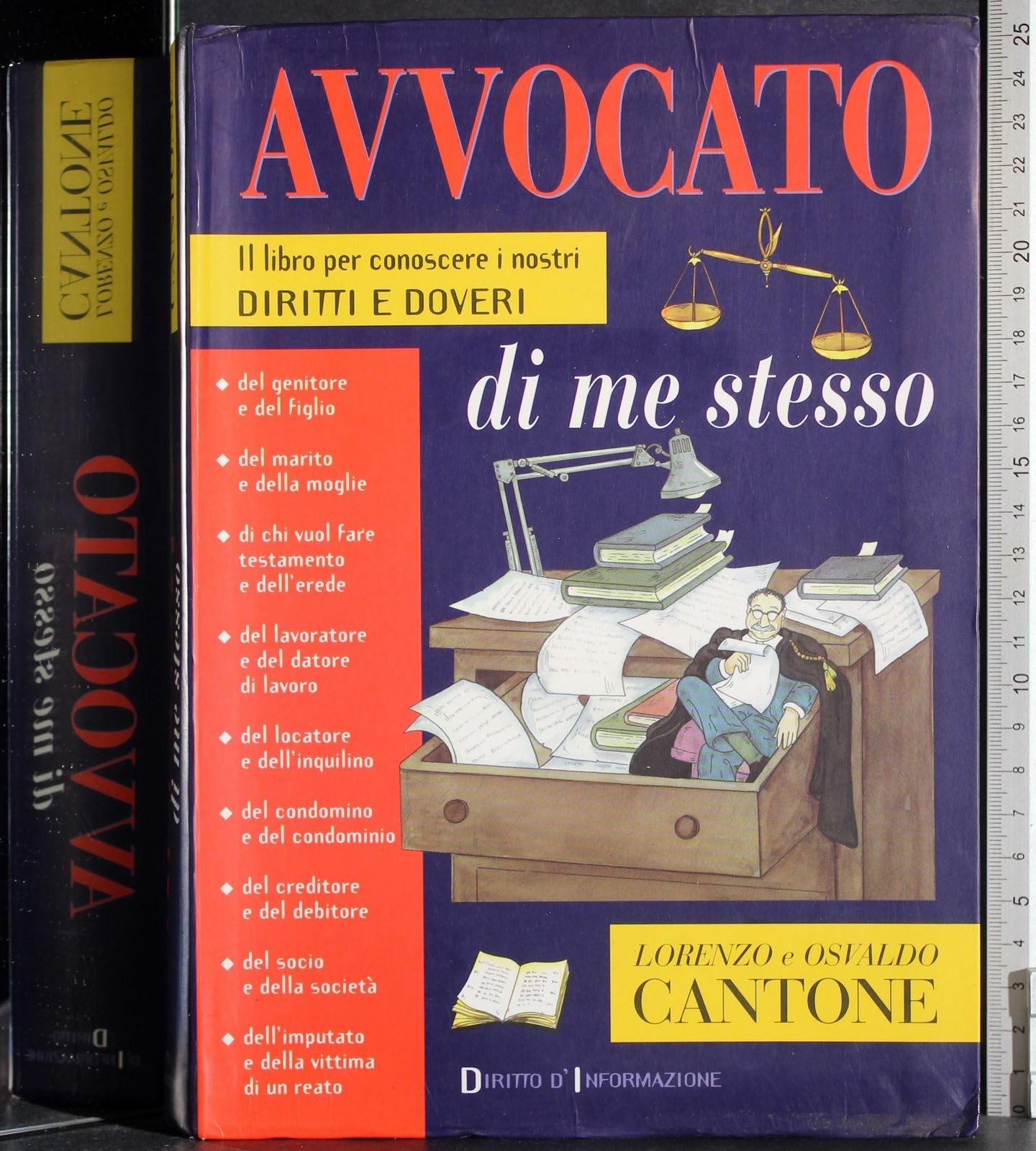 Avvocato di me stesso. Il libro per conoscere i nostri diritti e doveri (Diritto d'informazione) Books