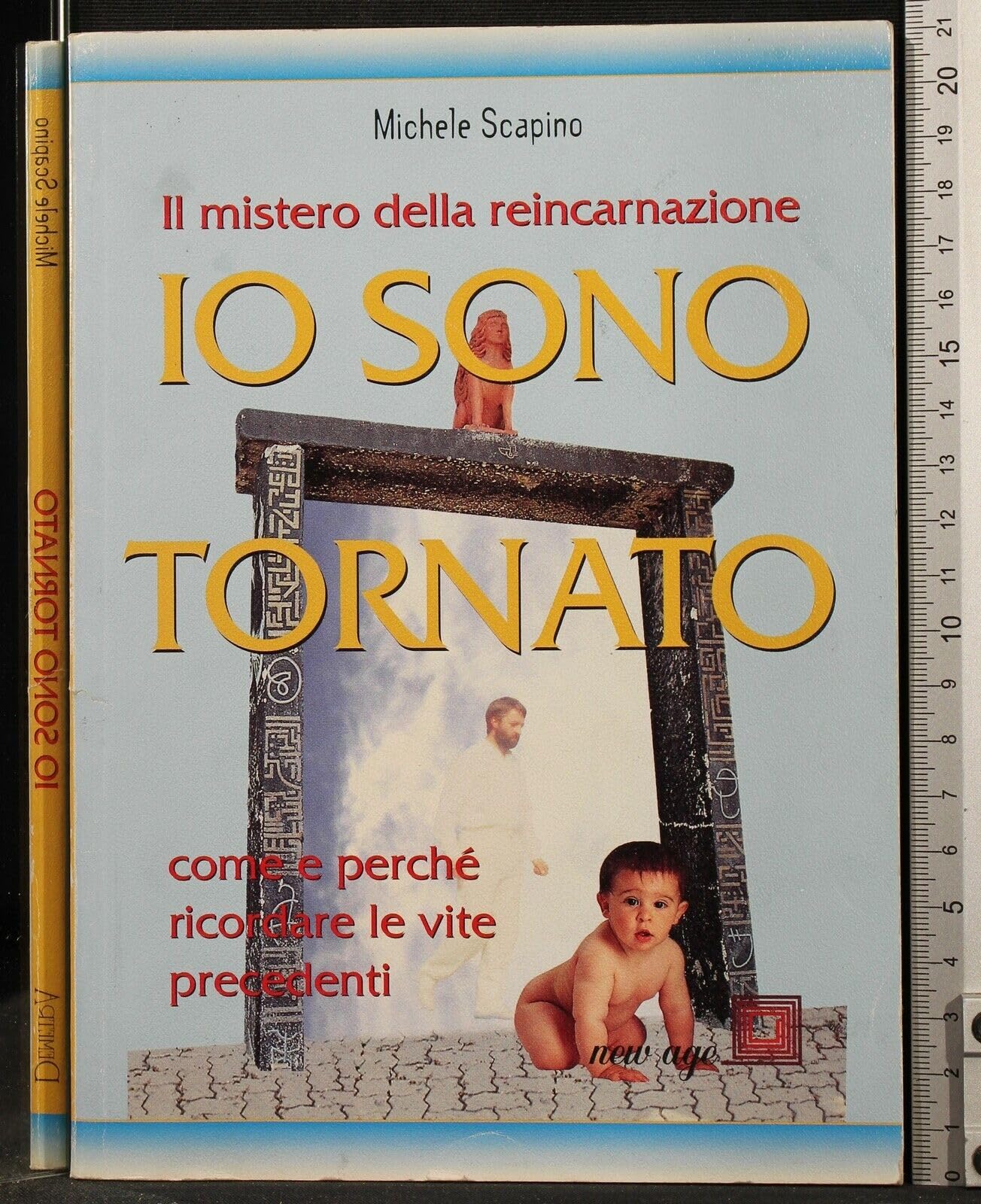Io sono tornato. Il mistero della reincarnazione (New Age) Religion & Esotericism