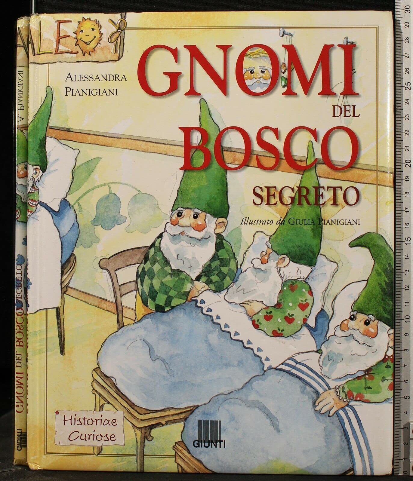 Gnomi del bosco segreto book