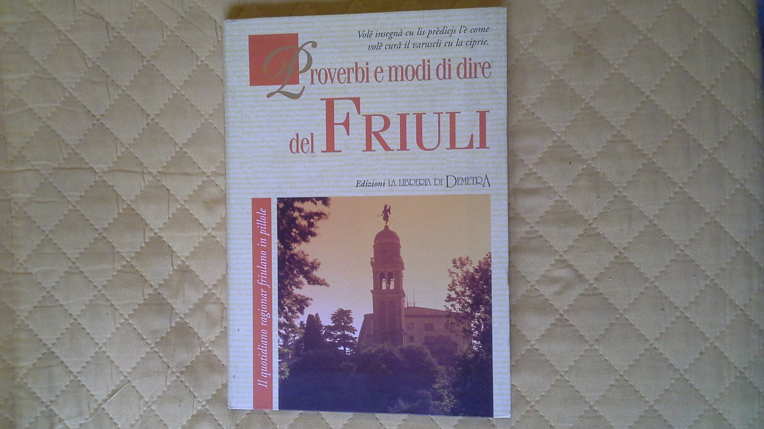 Proverbi e modi di dire del Friuli. Il quotidiano ragionar friulano in pillole book