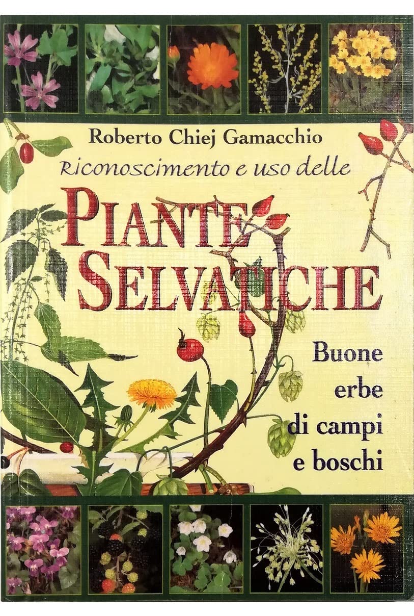 Riconoscimento e uso delle piante selvatiche. Buone erbe di campi e boschi (Erbe in cucina) Health, Nutrition & Fitness