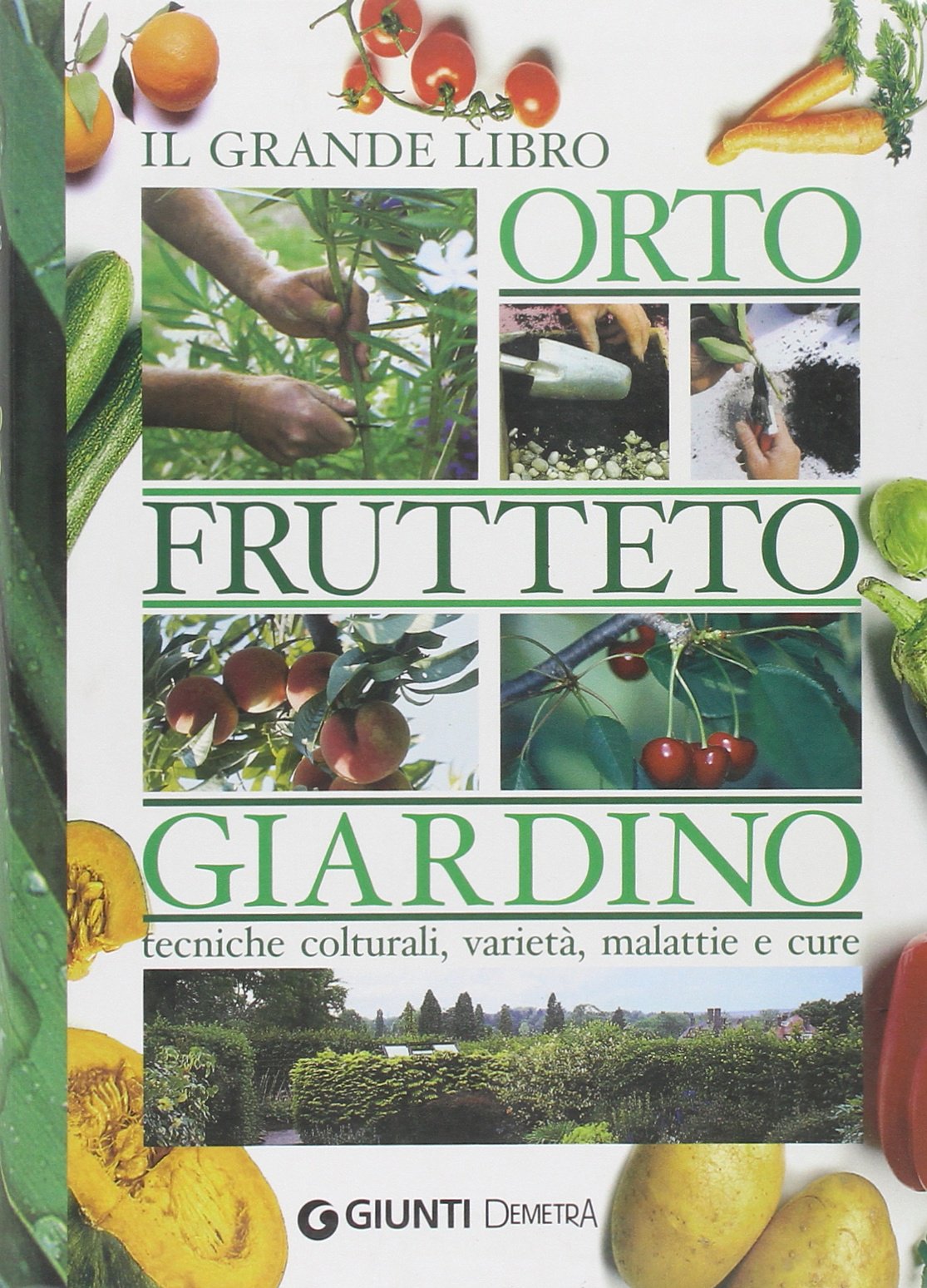 Il grande libro. Orto, frutteto, giardino. Tecniche colturali, varietà, malattie e cure Garden & Plants
