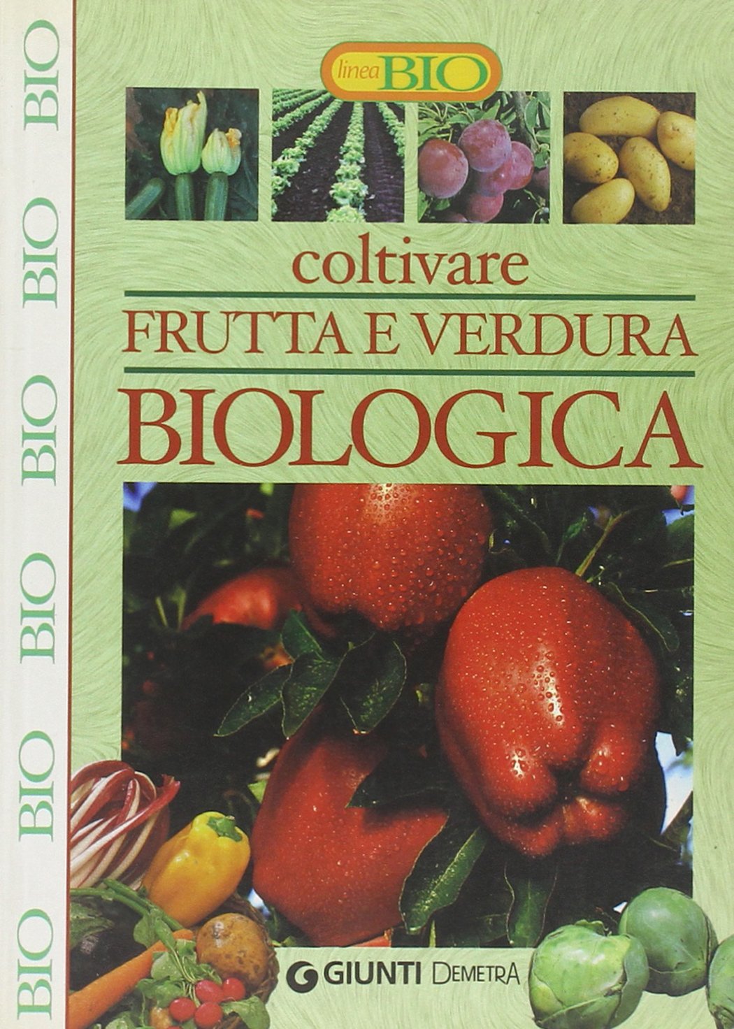 Coltivare frutta e verdura biologica (Linea bio) Leisure, Home & Garden