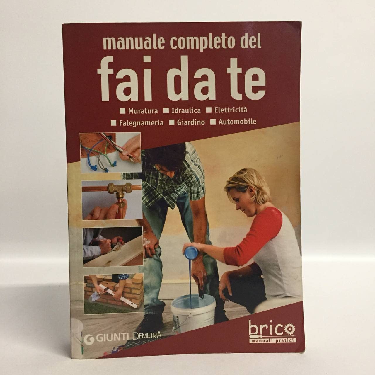 Manuale completo del fai da te. Muratura, idraulica, elettricità, falegnameria, giardino, automobile Hobbies & Crafts