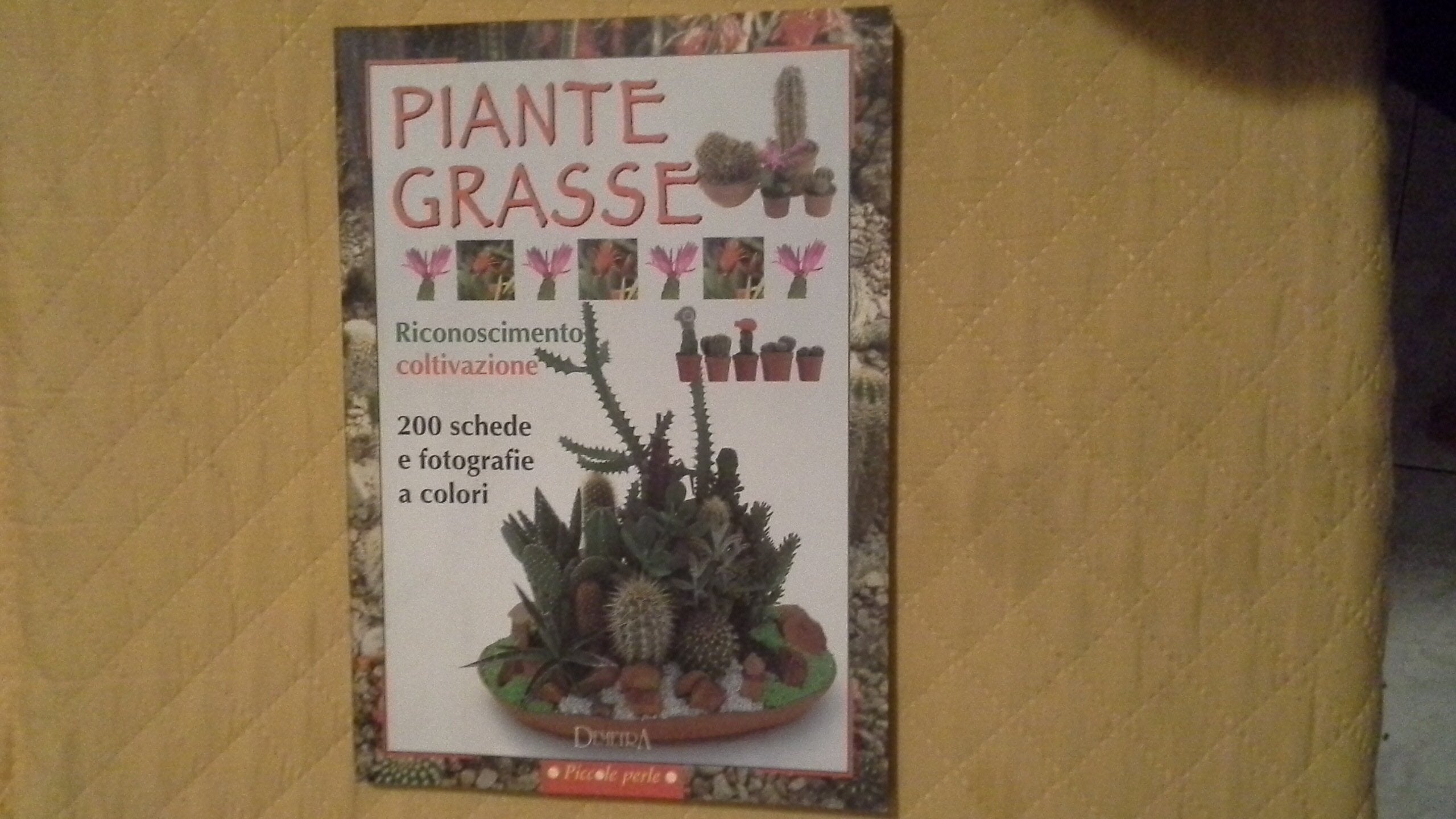 Piante grasse. Riconoscimento e coltivazione (Pollice verde) Garden & Plants