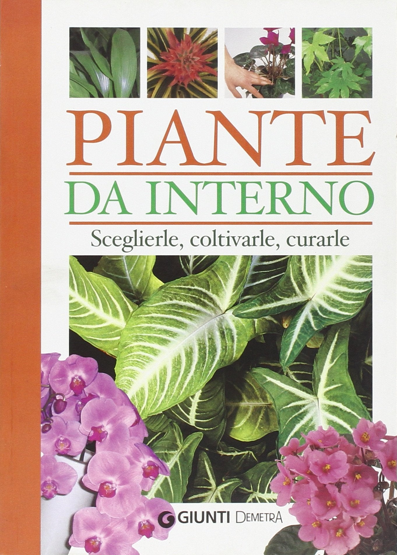 Piante da interno. Sceglierle, coltivarle, curarle Leisure, Home & Garden