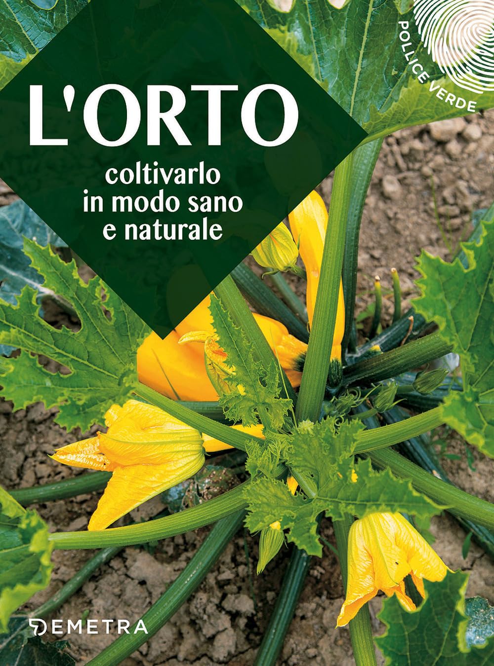 L'orto. Coltivarlo in modo sano e naturale book