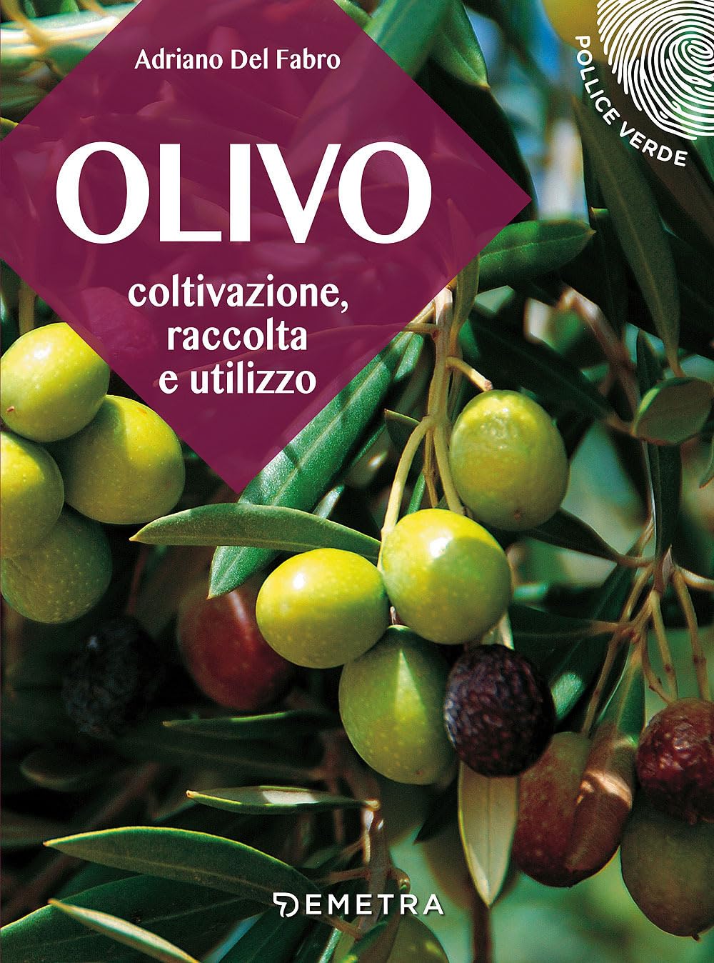 Olivo: Coltivazione, raccolta e utilizzo book
