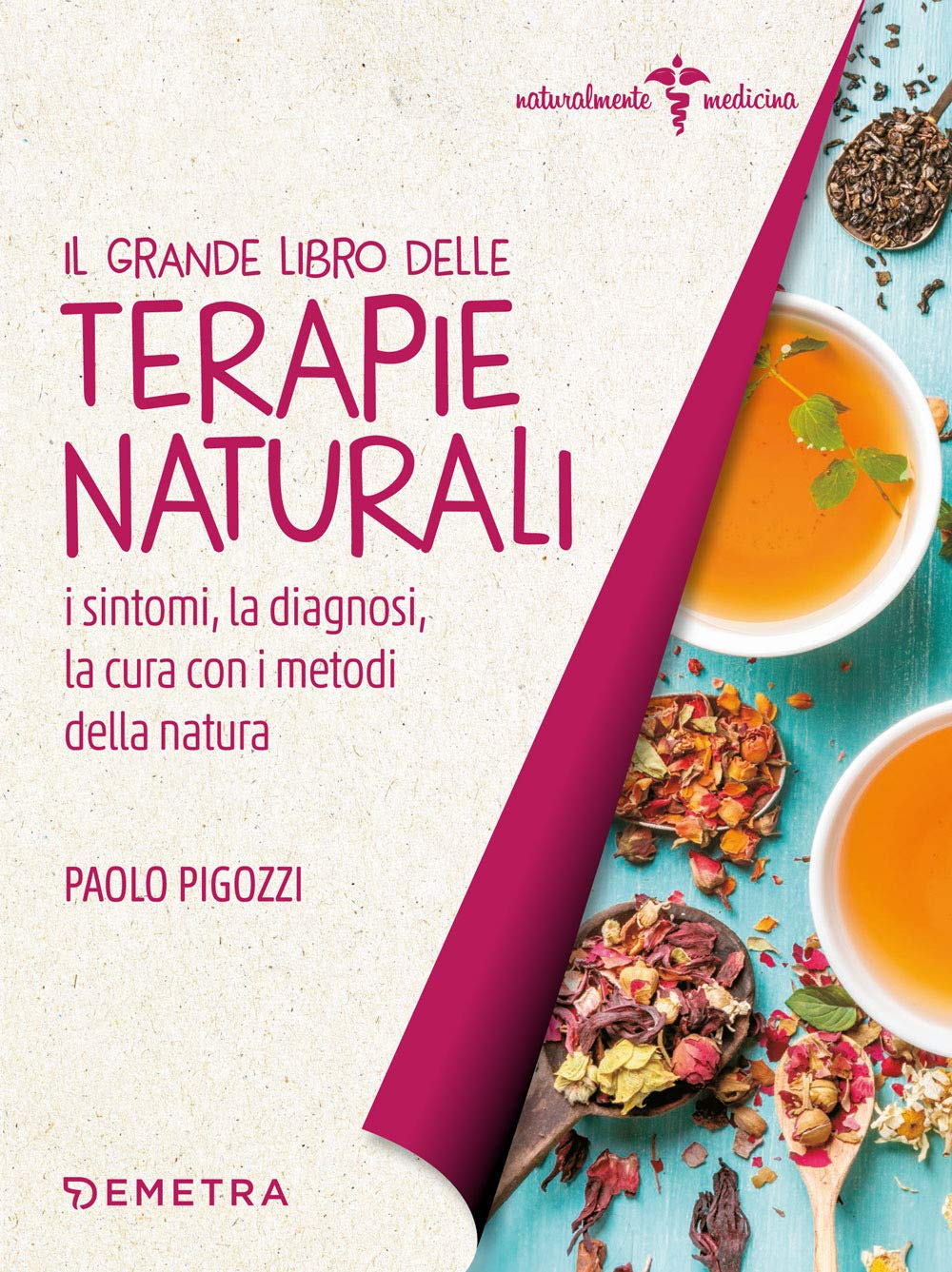 Il grande libro delle terapie naturali. I sintomi, la diagnosi, la cura con i metodi della natura Religion & Esotericism