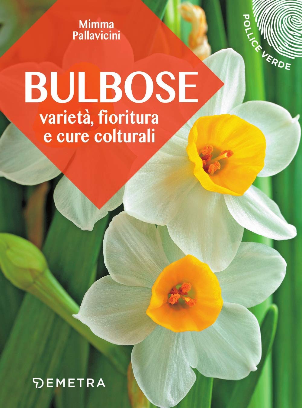 Bulbose. Varietà, fioritura e cure colturali Garden & Plants