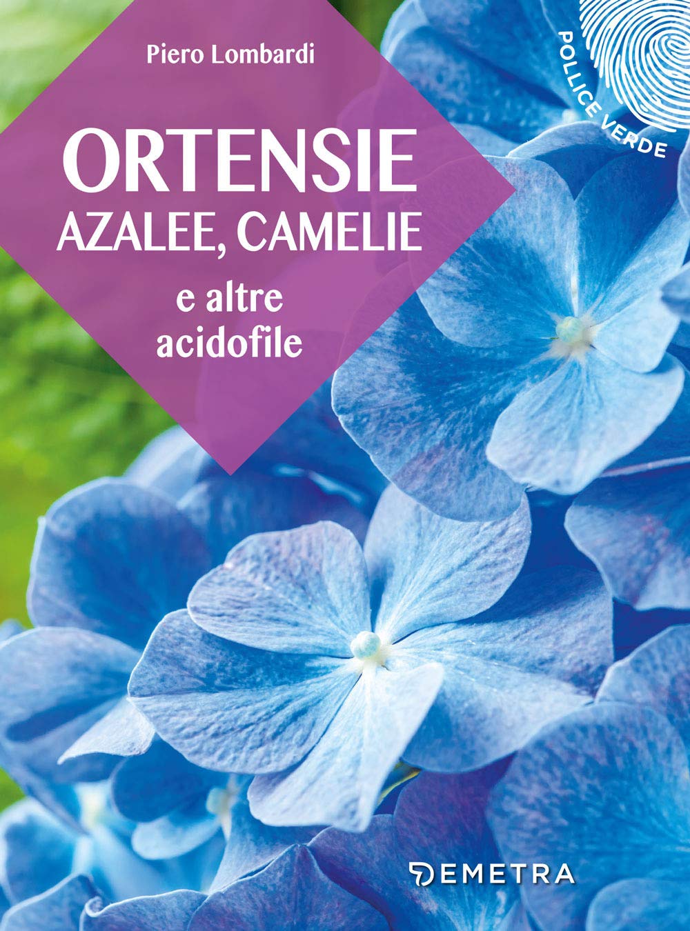 Ortensie, azalee, camelie e altre acidofile book