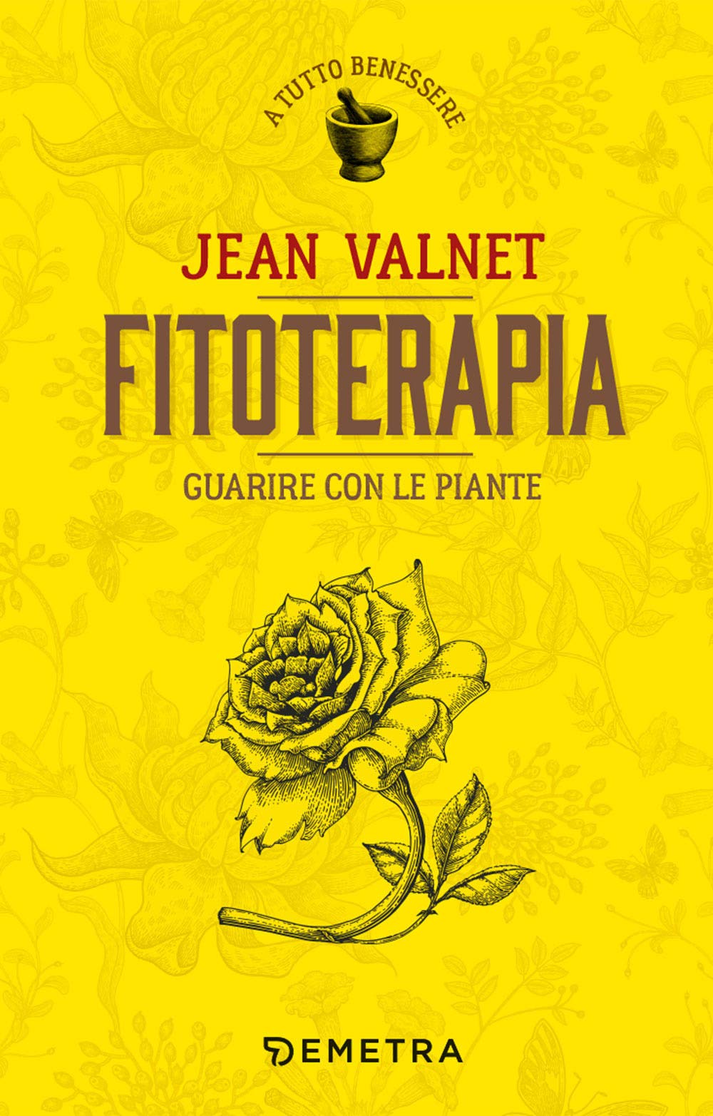 Fitoterapia. Guarire con le piante book