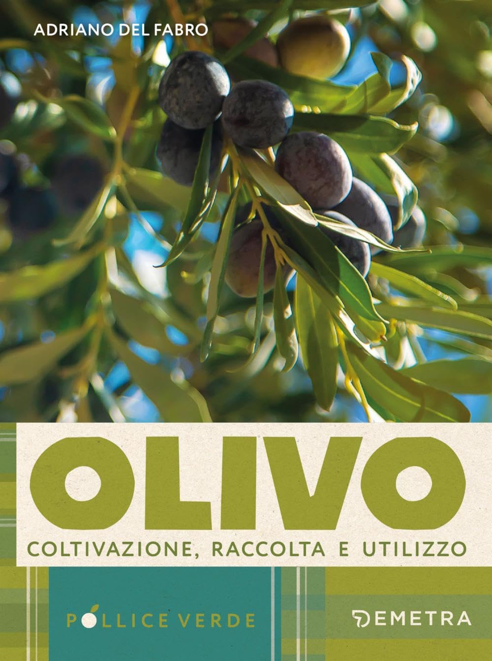 L'olivo. Coltivazione, raccolta e utilizzo book