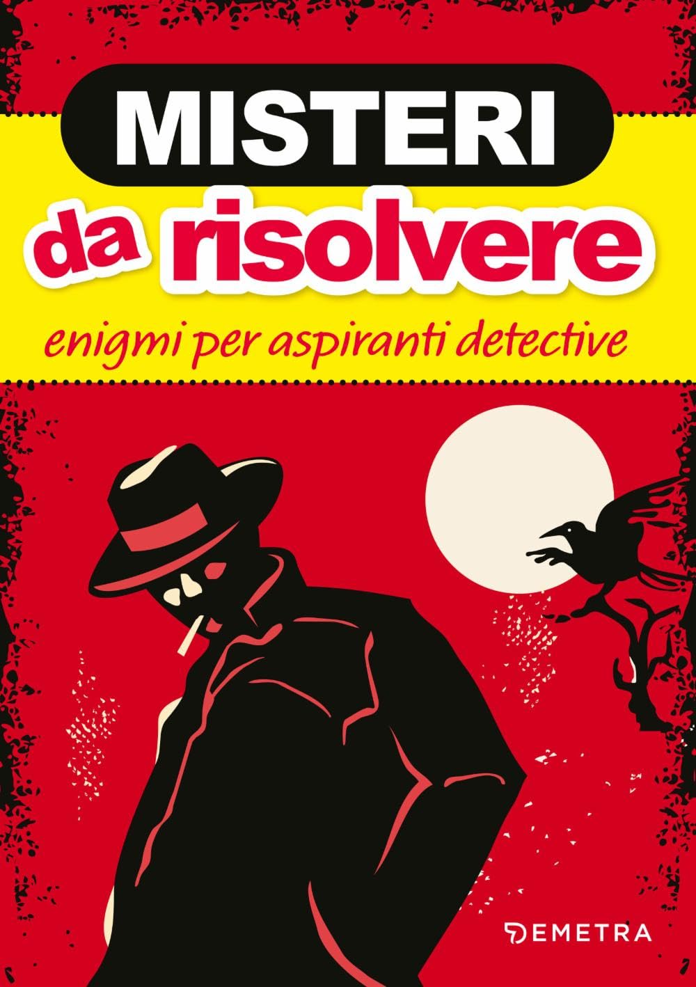 Misteri da risolvere. Enigmi per aspiranti detective book