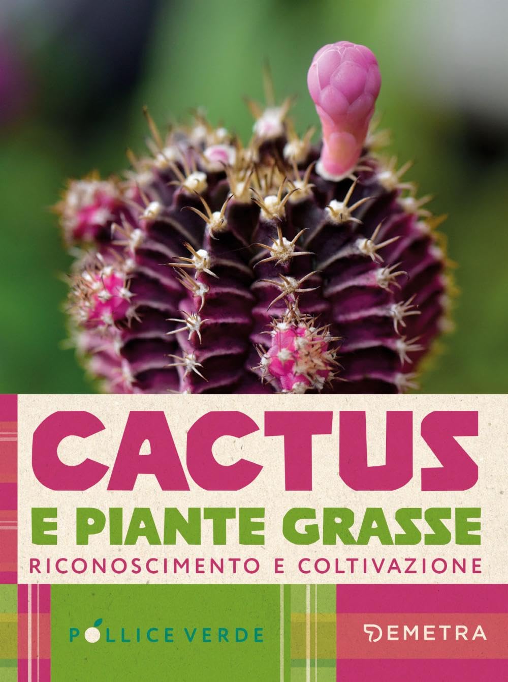 Cactus e piante grasse. Riconoscimento e coltivazione book
