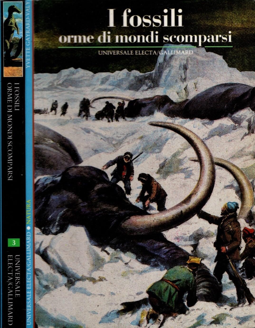 Fossili. Orme di mondi sommersi (Storia e civiltà) Geology & Geography