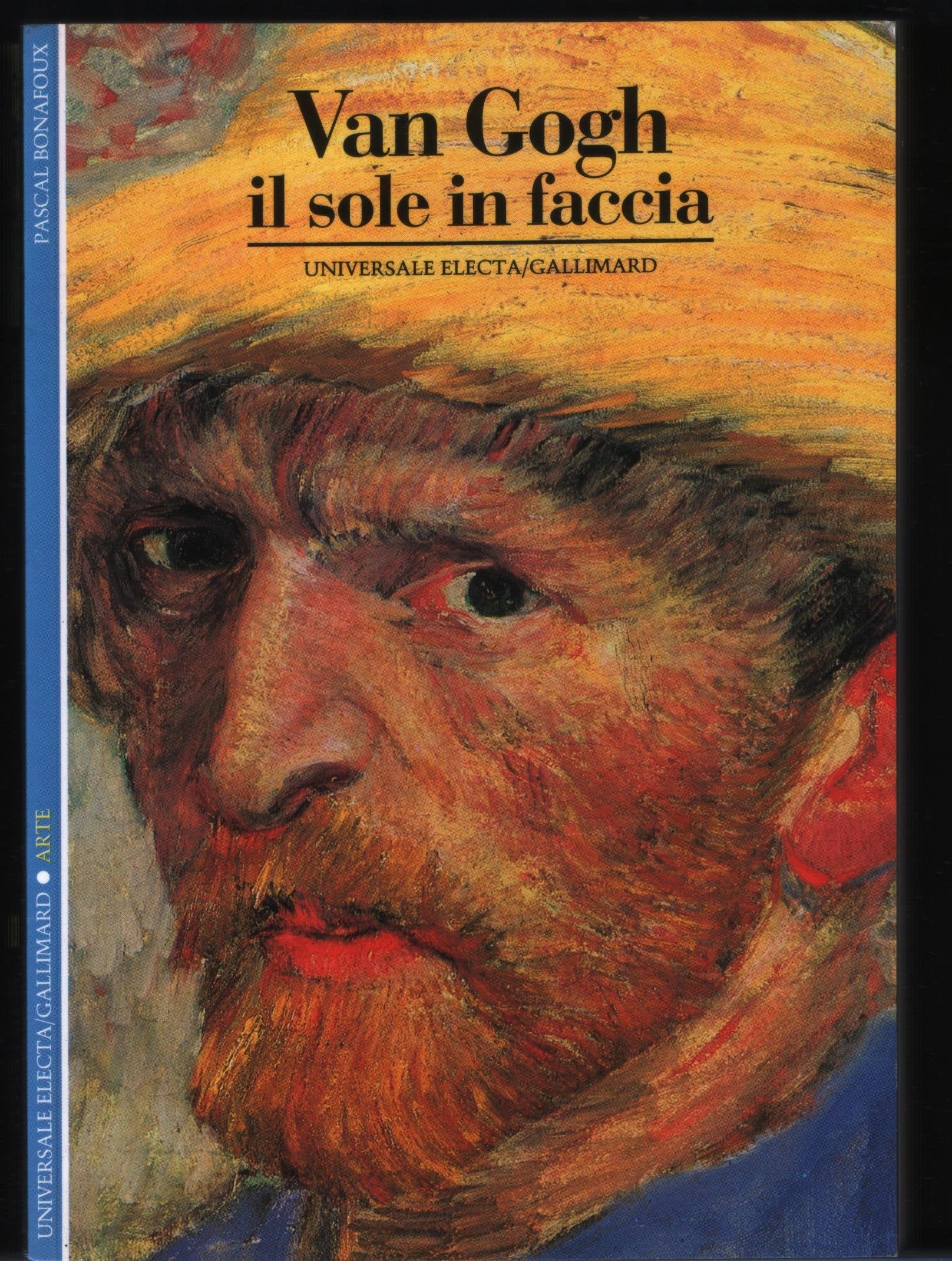 Van Gogh. Il sole in faccia book