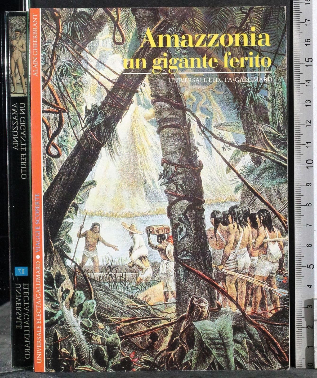 Amazzonia. Un gigante ferito book