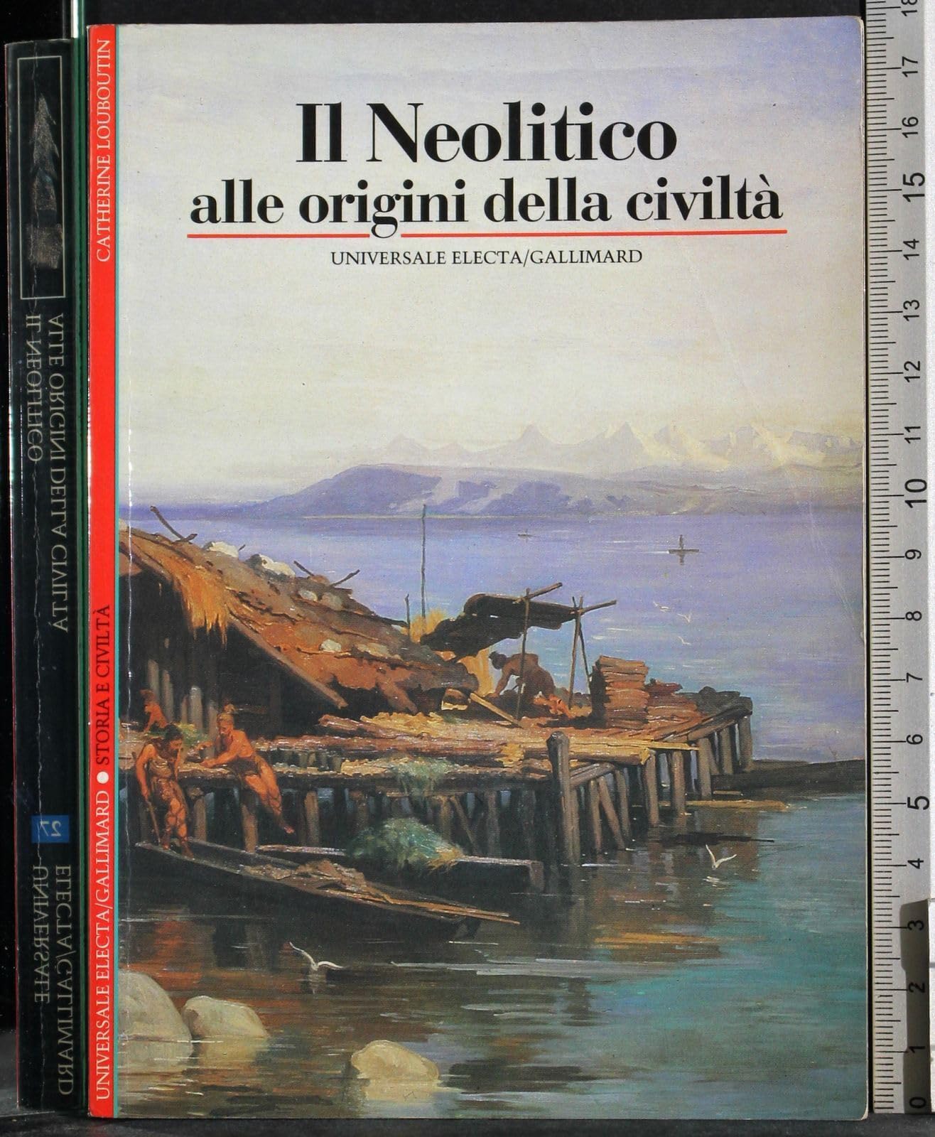 Il neolitico. Alle origini della civiltà (Storia e civiltà) Politics & History