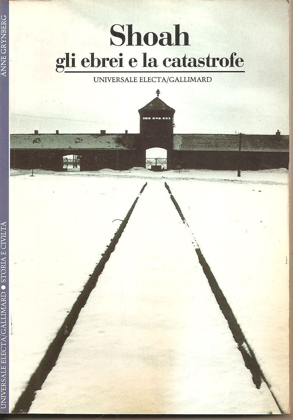 Shoah. Gli ebrei e la catastrofe (Storia e civiltà) German history