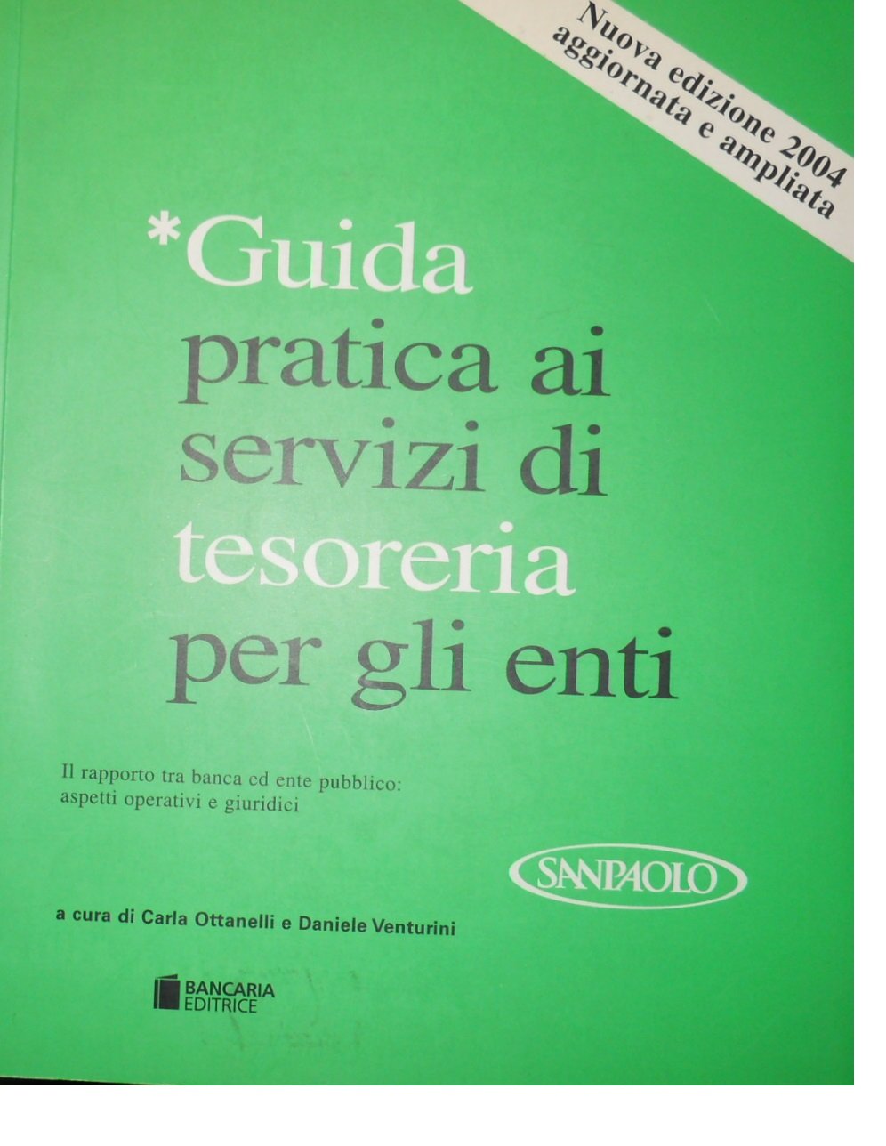 Guida pratica ai servizi di tesoreria per gli enti. Il rapporto tra banca ed ente pubblico: aspetti operativi e giuridici book