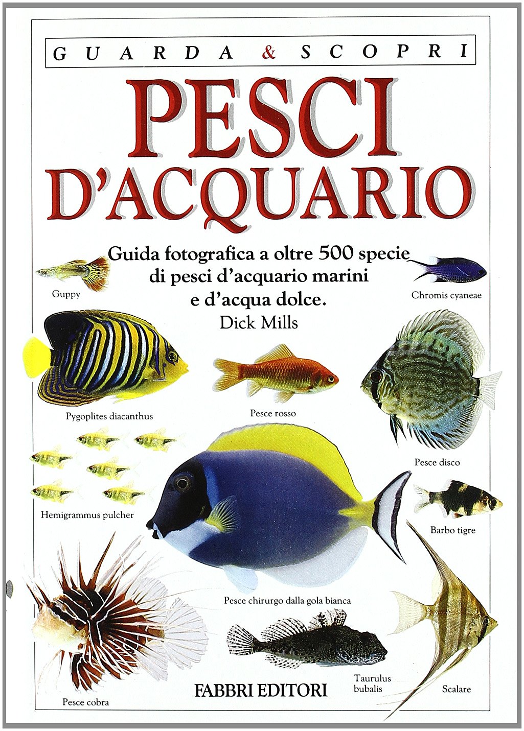 Pesci d'acquario. Ediz. illustrata (Guarda e scopri) Pets