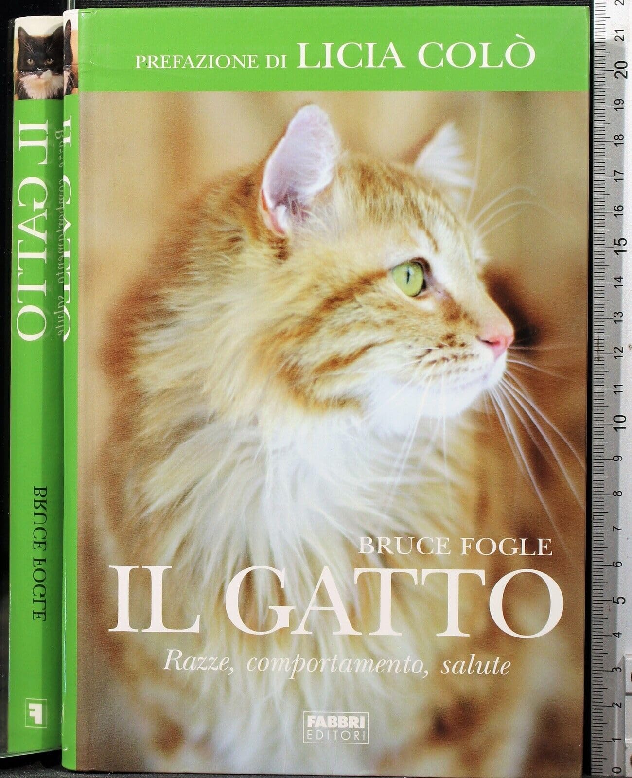 Il gatto. Razze, comportamento, salute book
