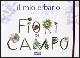 Il mio erbario. I fiori di campo book