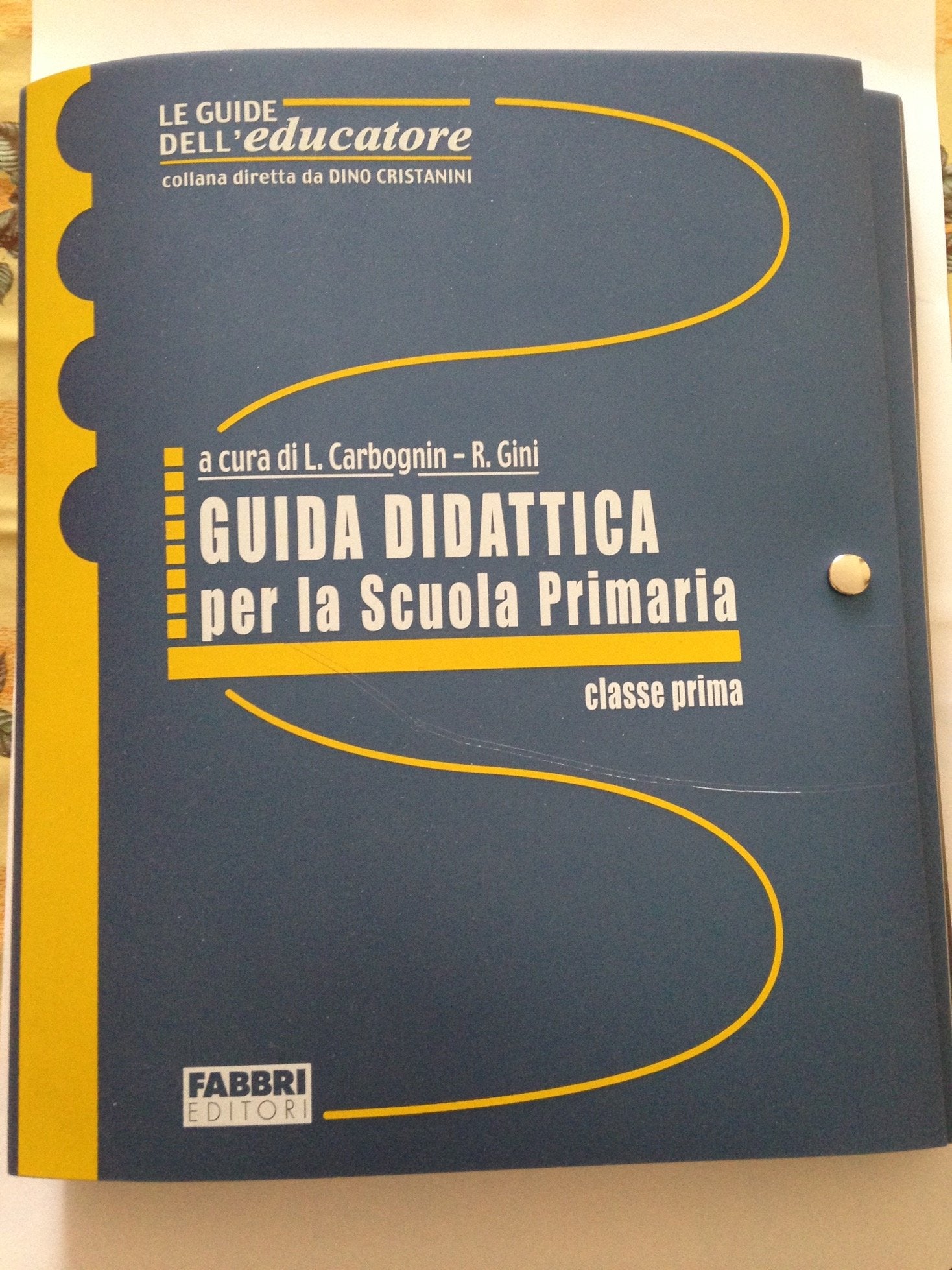 Guida didattica per la scuola primaria (Vol. 1) book
