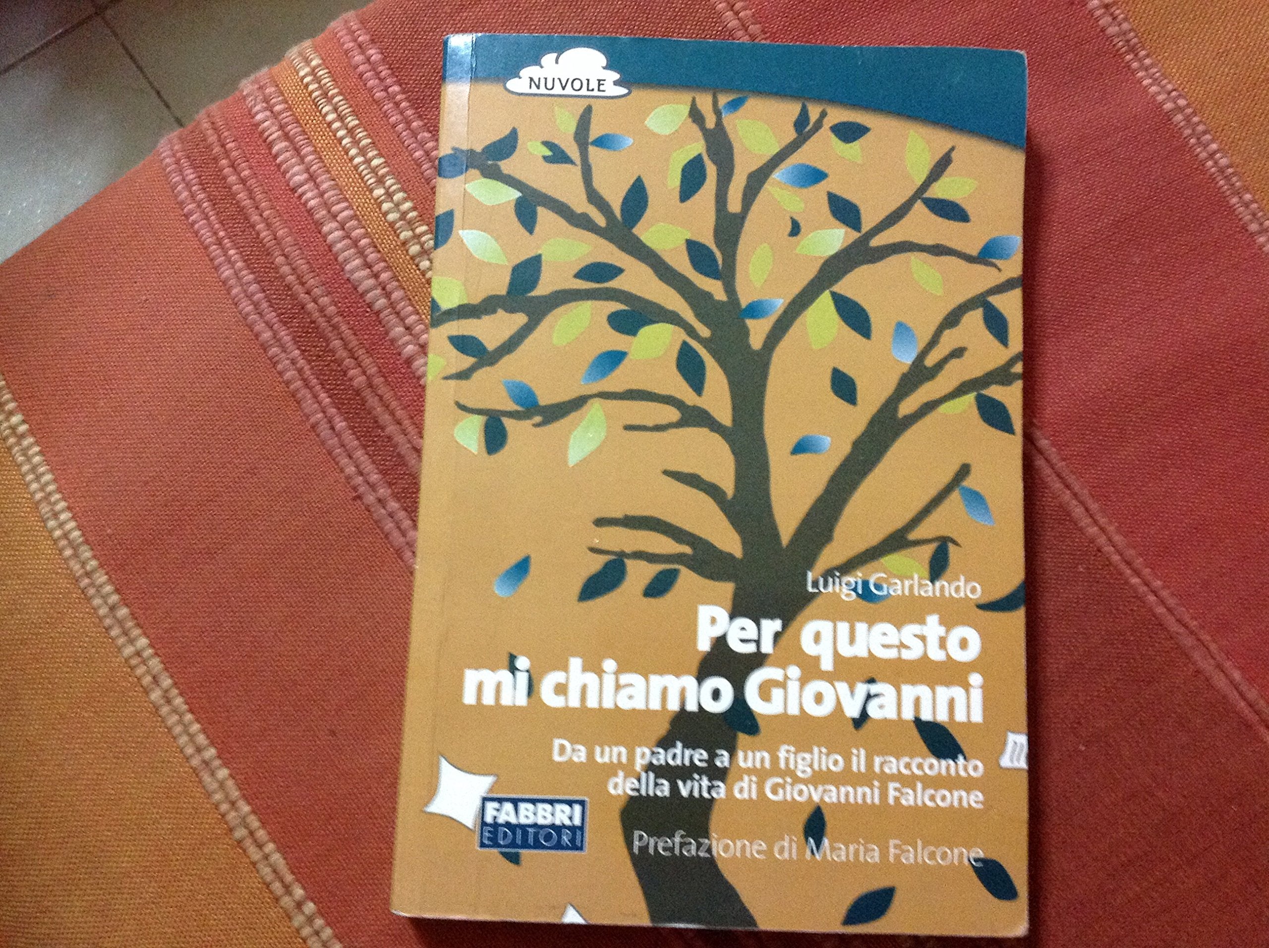 Per questo mi chiamo Giovanni. Da un padre a un figlio il racconto della vita di Giovanni Falcone Non-fiction