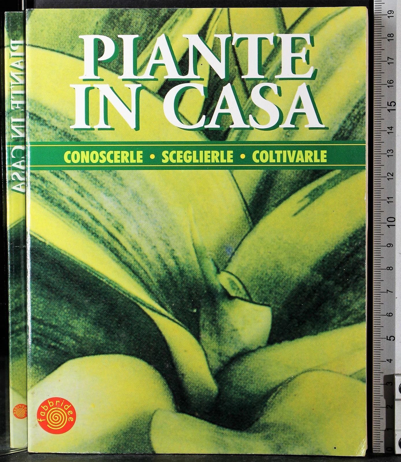 Piante in casa. Conoscerle, sceglierle, coltivarle (Fabbridee) Garden & Plants