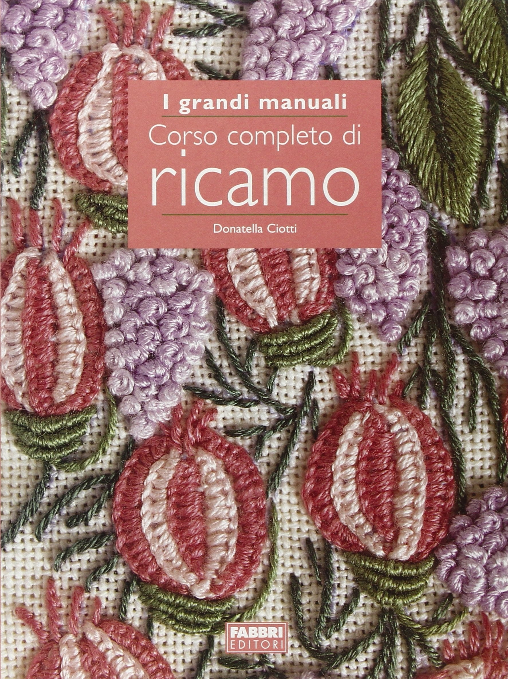 Corso completo di ricamo (Grandi manuali) Hobbies & Crafts